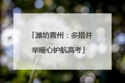 潍坊青州：多措并举暖心护航高考