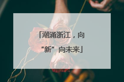 潮涌浙江，向“新”向未来