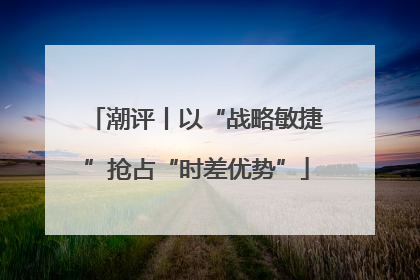 潮评丨以“战略敏捷”抢占“时差优势”