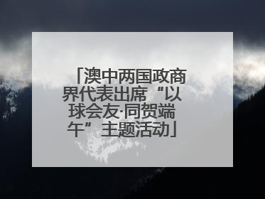 澳中两国政商界代表出席“以球会友·同贺端午”主题活动