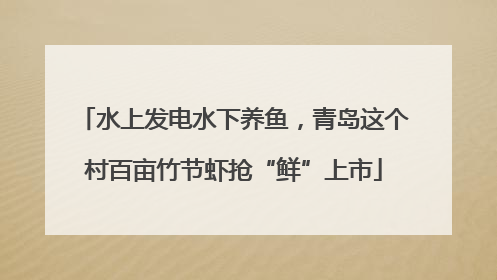 水上发电水下养鱼，青岛这个村百亩竹节虾抢“鲜”上市