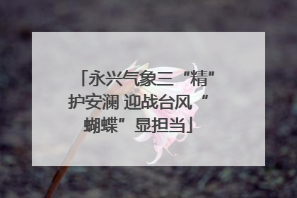 永兴气象三“精”护安澜 迎战台风“蝴蝶”显担当