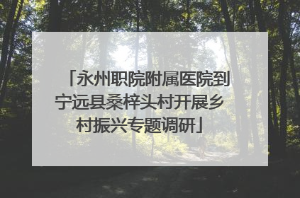 永州职院附属医院到宁远县桑梓头村开展乡村振兴专题调研