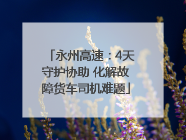 永州高速：4天守护协助 化解故障货车司机难题