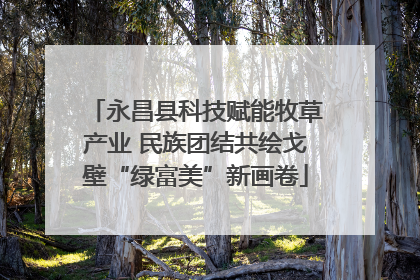 永昌县科技赋能牧草产业 民族团结共绘戈壁“绿富美”新画卷