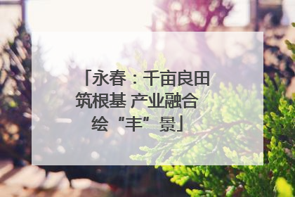 永春：千亩良田筑根基 产业融合绘“丰”景