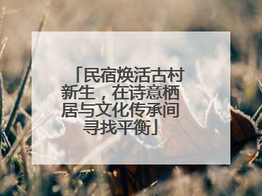 民宿焕活古村新生，在诗意栖居与文化传承间寻找平衡
