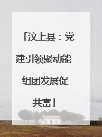 汶上县：党建引领聚动能 组团发展促共富
