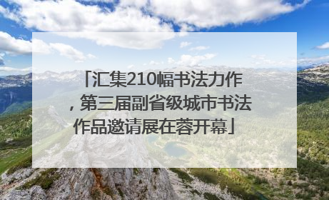 汇集210幅书法力作，第三届副省级城市书法作品邀请展在蓉开幕
