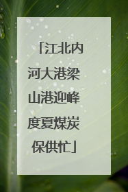 江北内河大港梁山港迎峰度夏煤炭保供忙