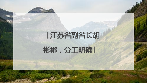 江苏省副省长胡彬郴，分工明确