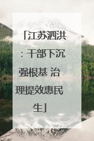 江苏泗洪：干部下沉强根基 治理提效惠民生