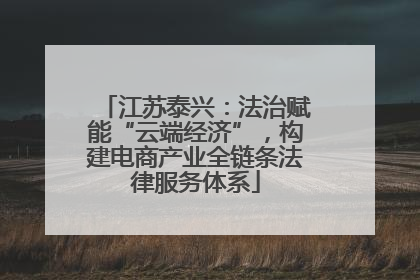 江苏泰兴：法治赋能“云端经济”，构建电商产业全链条法律服务体系