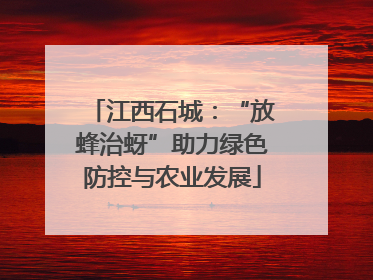 江西石城：“放蜂治蚜”助力绿色防控与农业发展