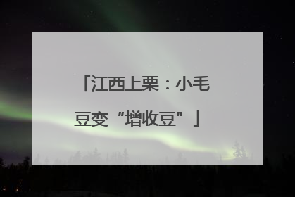 江西上栗：小毛豆变“增收豆”