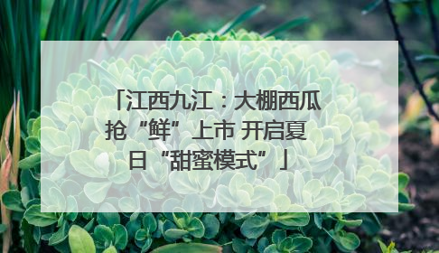 江西九江：大棚西瓜抢“鲜”上市 开启夏日“甜蜜模式”