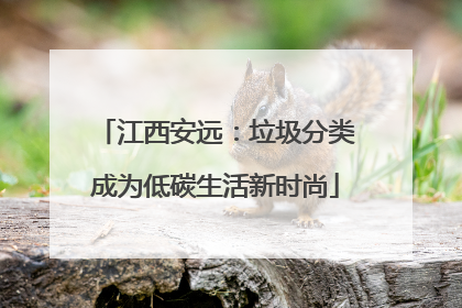 江西安远：垃圾分类成为低碳生活新时尚