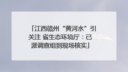 江西赣州“黄河水”引关注 省生态环境厅：已派调查组到现场核实