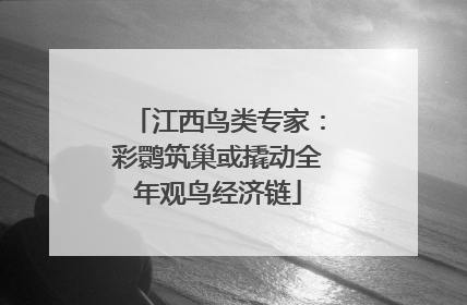 江西鸟类专家：彩鹮筑巢或撬动全年观鸟经济链