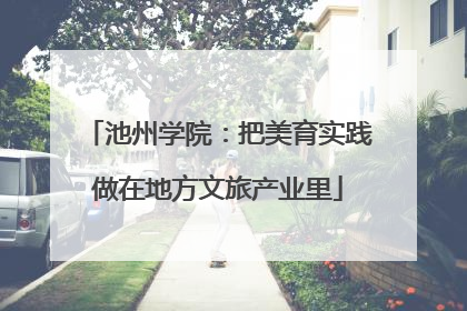 池州学院：把美育实践做在地方文旅产业里