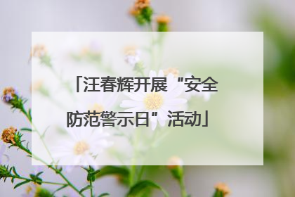汪春辉开展“安全防范警示日”活动