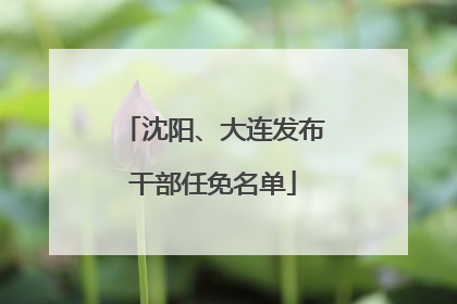 沈阳、大连发布干部任免名单