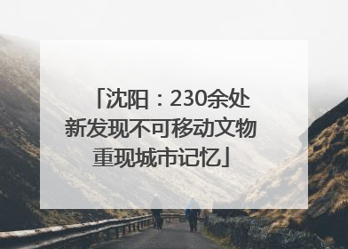 沈阳：230余处新发现不可移动文物重现城市记忆