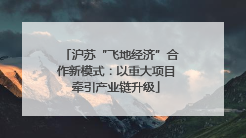 沪苏“飞地经济”合作新模式：以重大项目牵引产业链升级