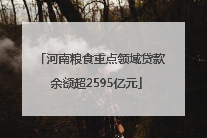 河南粮食重点领域贷款余额超2595亿元