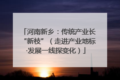 河南新乡：传统产业长“新枝”（走进产业地标·发展一线探变化）