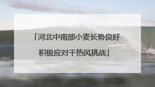 河北中南部小麦长势良好 积极应对干热风挑战