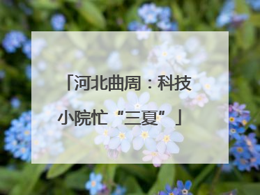 河北曲周：科技小院忙“三夏”