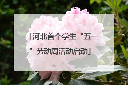 河北首个学生“五一”劳动周活动启动