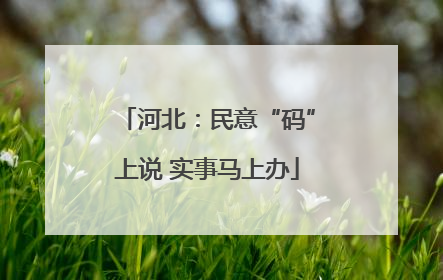 河北：民意“码”上说 实事马上办