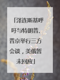 泽连斯基呼吁与特朗普、普京举行三方会谈，美俄暂未回应