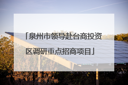 泉州市领导赴台商投资区调研重点招商项目
