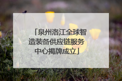 泉州洛江全球智造装备供应链服务中心揭牌成立