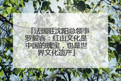 法国驻沈阳总领事罗毅睿：红山文化是中国的瑰宝，也是世界文化遗产
