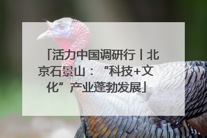 活力中国调研行丨北京石景山：“科技+文化”产业蓬勃发展