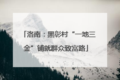 洛南：黑彰村“一地三金”铺就群众致富路