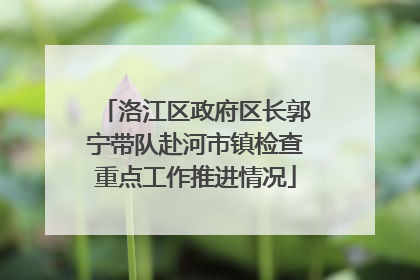洛江区政府区长郭宁带队赴河市镇检查重点工作推进情况