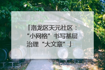洛龙区天元社区：“小网格”书写基层治理“大文章”
