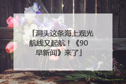 洞头这条海上观光航线又起航！《90早新闻》来了