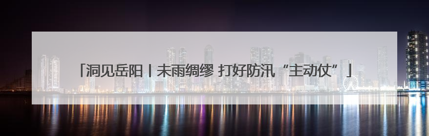 洞见岳阳丨未雨绸缪 打好防汛“主动仗”