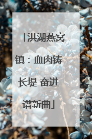 洪湖燕窝镇：血肉铸长堤 奋进谱新曲