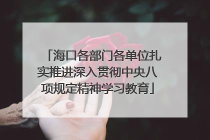 海口各部门各单位扎实推进深入贯彻中央八项规定精神学习教育