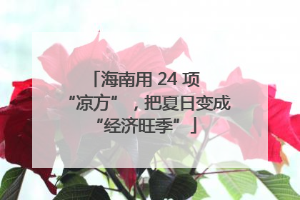海南用 24 项 “凉方”，把夏日变成 “经济旺季”