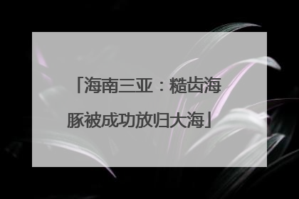 海南三亚：糙齿海豚被成功放归大海