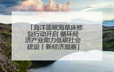 海洋蓝碳海草床修复行动开启 循环经济产业助力低碳社会建设丨新经济观察