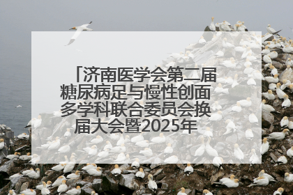 济南医学会第二届糖尿病足与慢性创面多学科联合委员会换届大会暨2025年学术年会成功举行